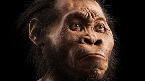 Did This Mysterious Ape-Human Once Live Alongside Our Ancestors? | History | National Geographic ...