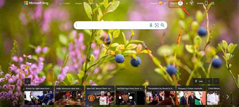 Bing Ai Chatbot 的图像结果