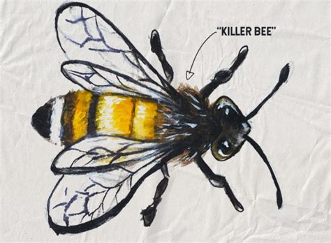 Africanized Killer Bees 的图像结果