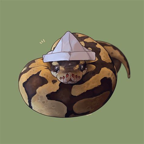 Cute Ball Python 的图像结果