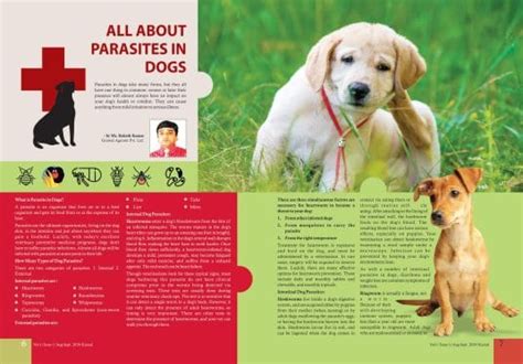 All About Parasites In Dogs Published In Pet ‘N’ Vet Magazine :Aug-Sept ...