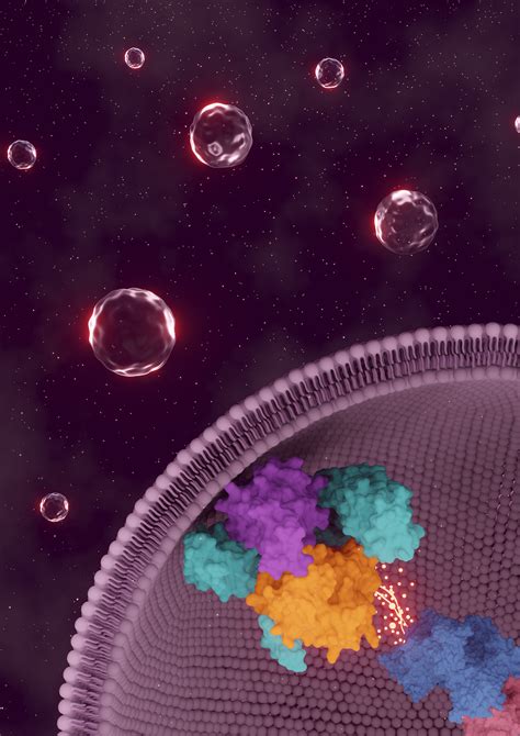 Protein Complex Structure 的图像结果