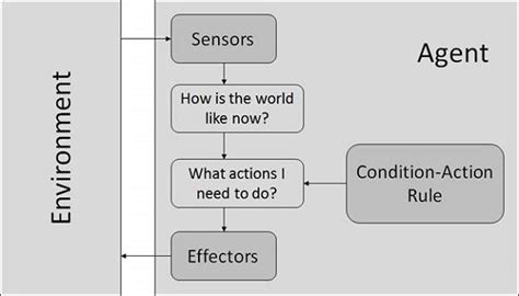 Reflex Agent 的图像结果