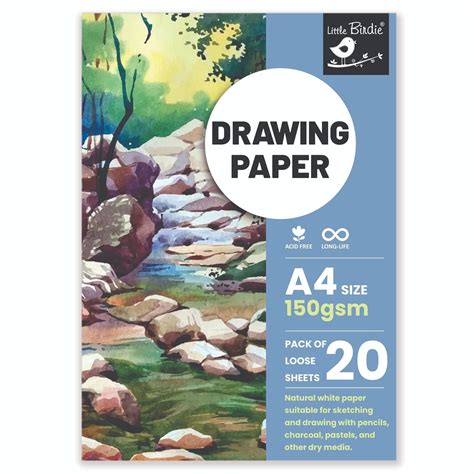 Little Birdie Drawing Paper A4 Size 150 GSM Pack of 20 Sheets : Amazon ...