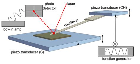 Image result for AFM Structure