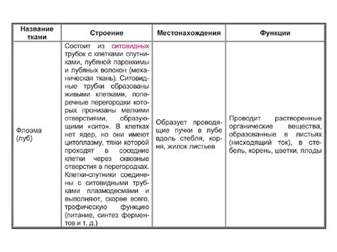 Луб функции: Луб - флоэма - ТеплоЭнергоРемонт
