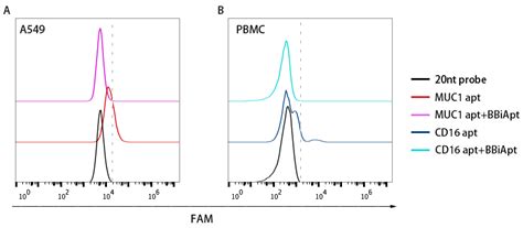 Novel Bispecific Aptamer Enhances Immune Cytotoxicity Against MUC1 ...