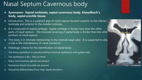 Anatomy of Internal Nose | PPTX