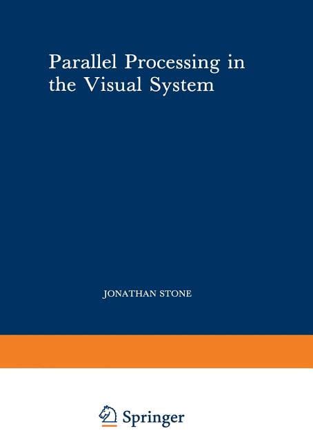 Image result for Parallel Processing Visual System
