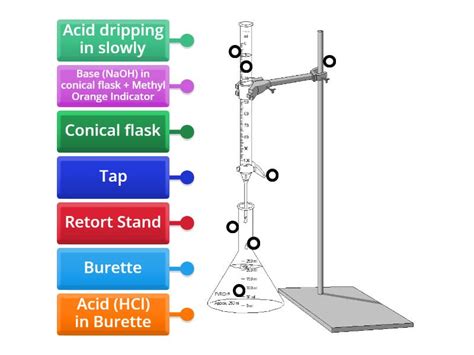 Image result for Neutralisation Demonstration