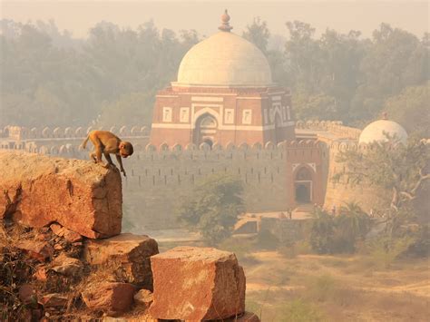 Riding in Rajasthan | Condé Nast Traveller India