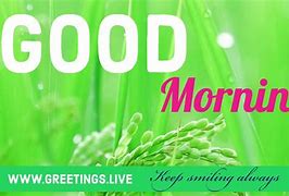 Image result for Good Morning and Welcome