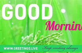 Image result for Good Morning Spring Forward