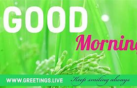 Image result for Good Morning 幸福 Pinteres