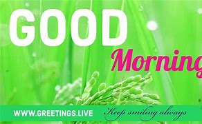 Image result for Good Morning Quotes Purple