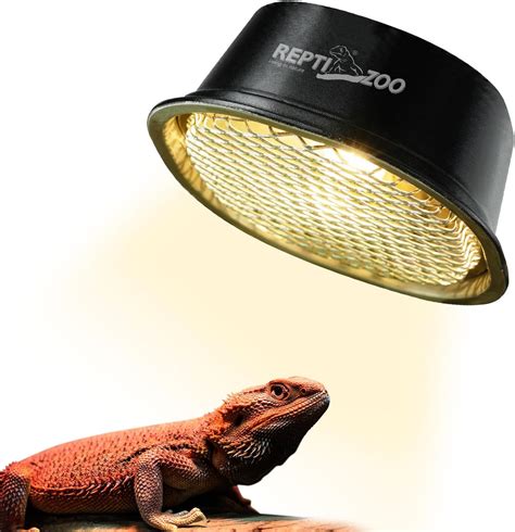 Amazon.com : G9 Reptile Heat Lamp Bulb and Light Fixture with Safety ...