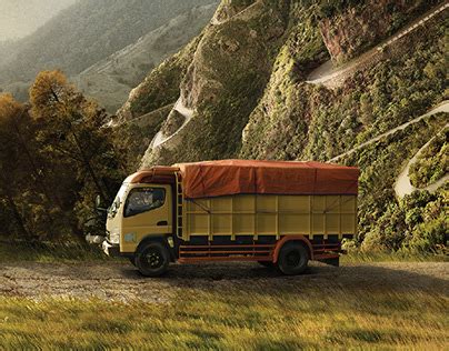 Image result for Patrick Fileti Shell Rimula