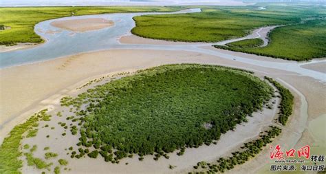 黄河入海口有着难得一见的景色，还拥有中国最大的湿地生态系统__财经头条