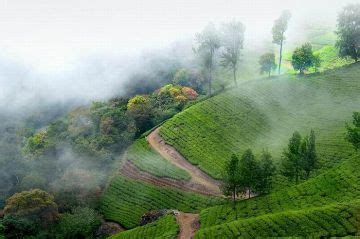 5 N / 6 D Budget Friendly Kerala Tour Package | kochi, munnar, thekkady ...