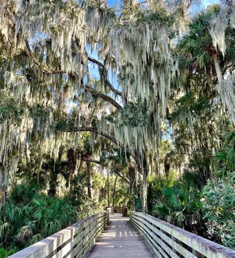 Discover Lake County in Tavares | VISIT FLORIDA