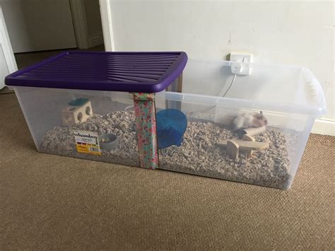 Syrian Hamster Bin Cages
