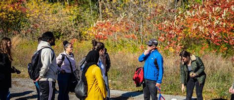 Local Community Student Activity 的图像结果