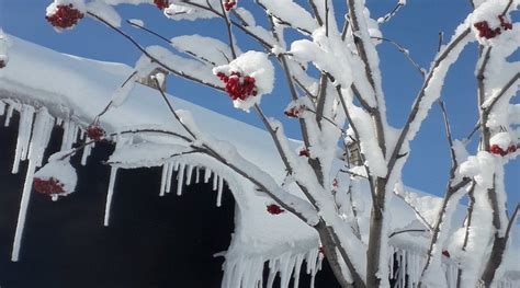 HOTEL MUNTELE MIC (Borlova) - Hotel Reviews, Photos, Rate Comparison ...