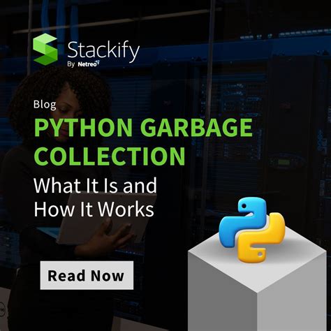 Image result for Garbage Collection in Python