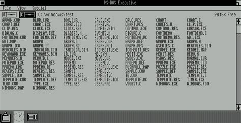 Image result for Use Developer Features Windows 1.0