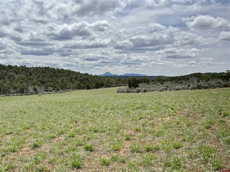 Property For Sale Dove Creek Colorado at Nick Mendoza blog