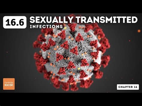 Sexually Transmitted Infections Video Lecture - Biology for GCSE/IGCSE ...