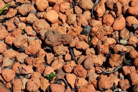 How to Use Leca 的图像结果