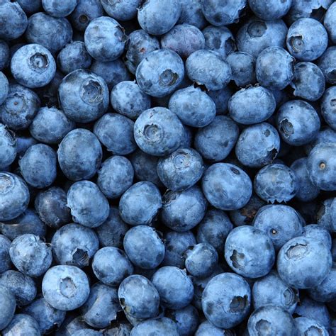 Blueberry Recall Update