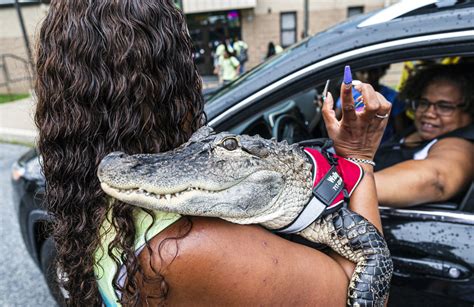 Joie Henney and Wally the emotional support alligator - pennlive.com