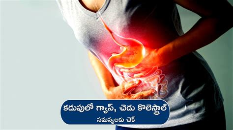 Gastritis And Cholesterol: If Sabja Seeds Are Mixed With Water And ...