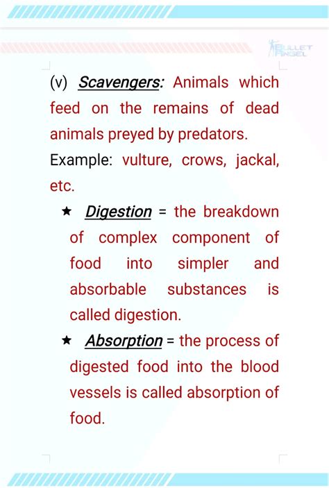 Image result for 7th Class Science 2nd Chapter