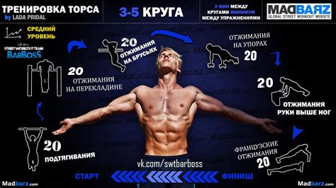 Калистеника: программа для начинающих, упражнения для мужчин