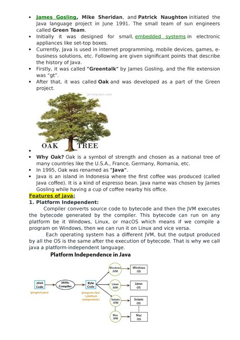 James Gosling - java - James Gosling, Mike Sheridan, and Patrick ...