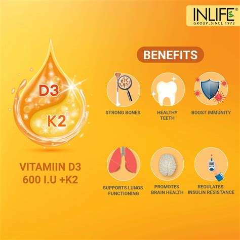Buy INLIFE PLANT BASED VEGAN VITAMIN D3 K2 SUPPLEMENT FOR BONE HEALTH ...