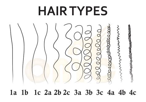 Different Types of Hair Types | Natural Hair Texture Chart Quiz
