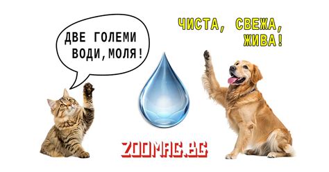 ПРАВИЛНА ХИДРАТАЦИЯ НА ВАШИЯТ ЛЮБИМЕЦ - Зоомаг.бг