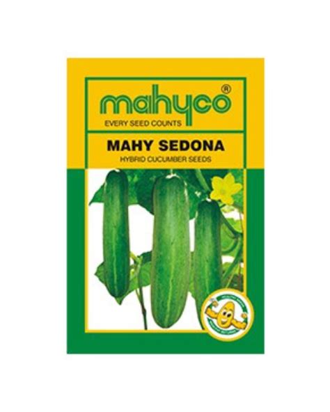 Buy Sedona Hy Cucumber Seeds Online Starting @ 234/- | BigHaat