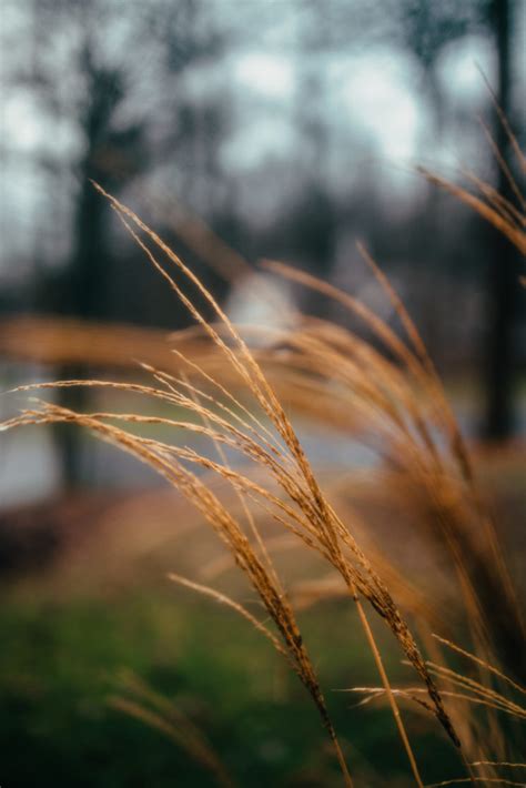 Image result for Diffusio Filter