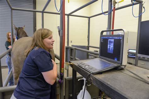 Image result for Reproduction Examination