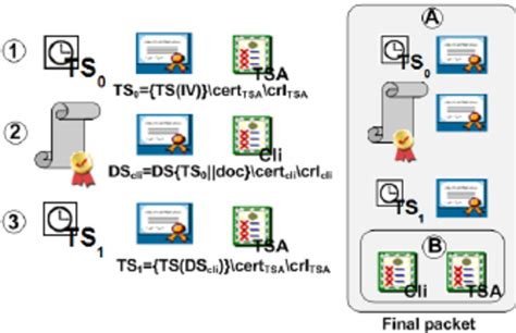 Packet Client How to Install 的图像结果