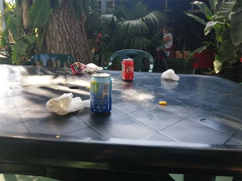 CAMPING CASES (Les Cases d'Alcanar) - Campground Reviews, Photos, Rate ...