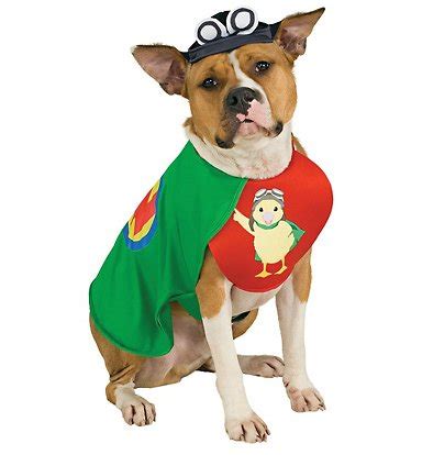 Ming-Duck Duckling Pet Costume, Size Medium 14-16" : Amazon.in: Pet ...