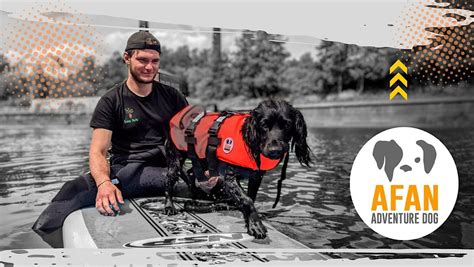Introduction to Dog SUP, Spring Valley Lakes, Glynneath, 20 July 2024 ...