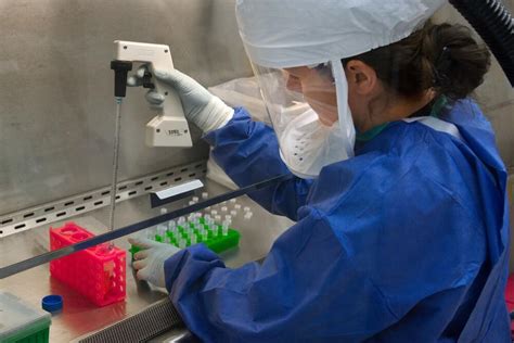 How To Increase Platelet Count Naturally: Foods To Increase Platelet Count