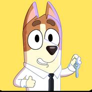 Image result for Bucky Python Tutorial 1